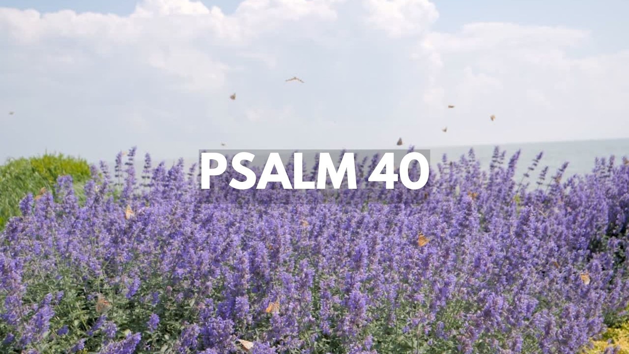 Psalm 40 Prayer | Warfare Testimony of God's Deliverance & Restoration Decree & Declare Scripture