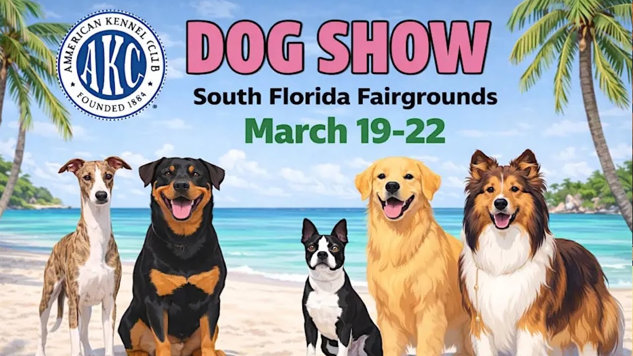 Выставка собак South Florida Classic Cluster Dog Show собрала 3777 участников в Вест-Палм-Бич.