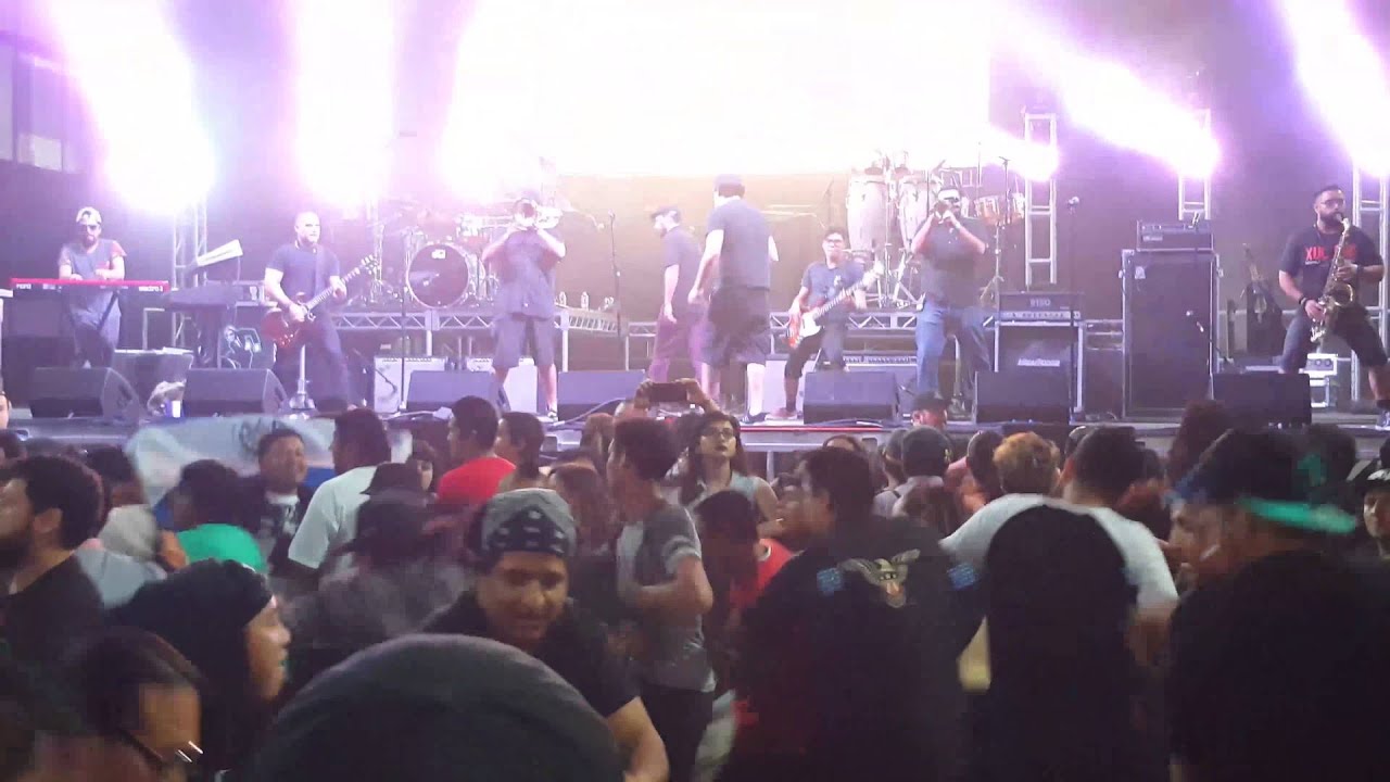 Adhesivo   Skanking reggae 2016