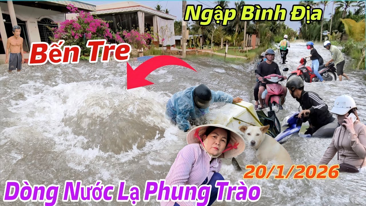 Chấn Động Bến Tre Xuất Hiện Dòng Nước Kỳ Lạ Từ Dưới Trào Lên Gây Ngập Bình Địa, Người Dân Bị Cô Lập