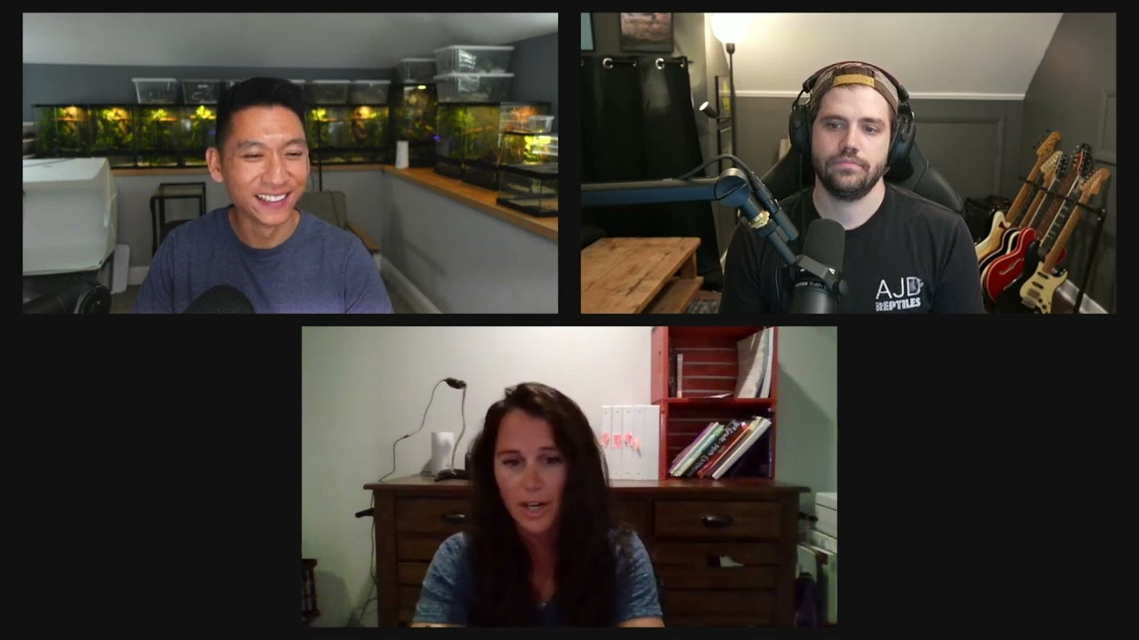 Tangerines 🍊  & Soft Scale w/ Giuliana's Geckos | Ep. 46 of The Gecko Pod