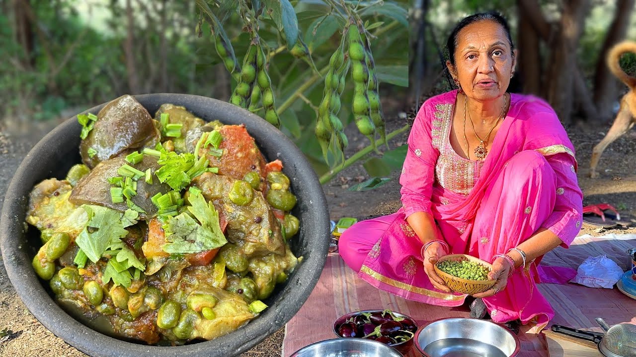 રીંગણ તુવેર દાણાનું શાક  | Brinjal Pigeon Pea Subji |