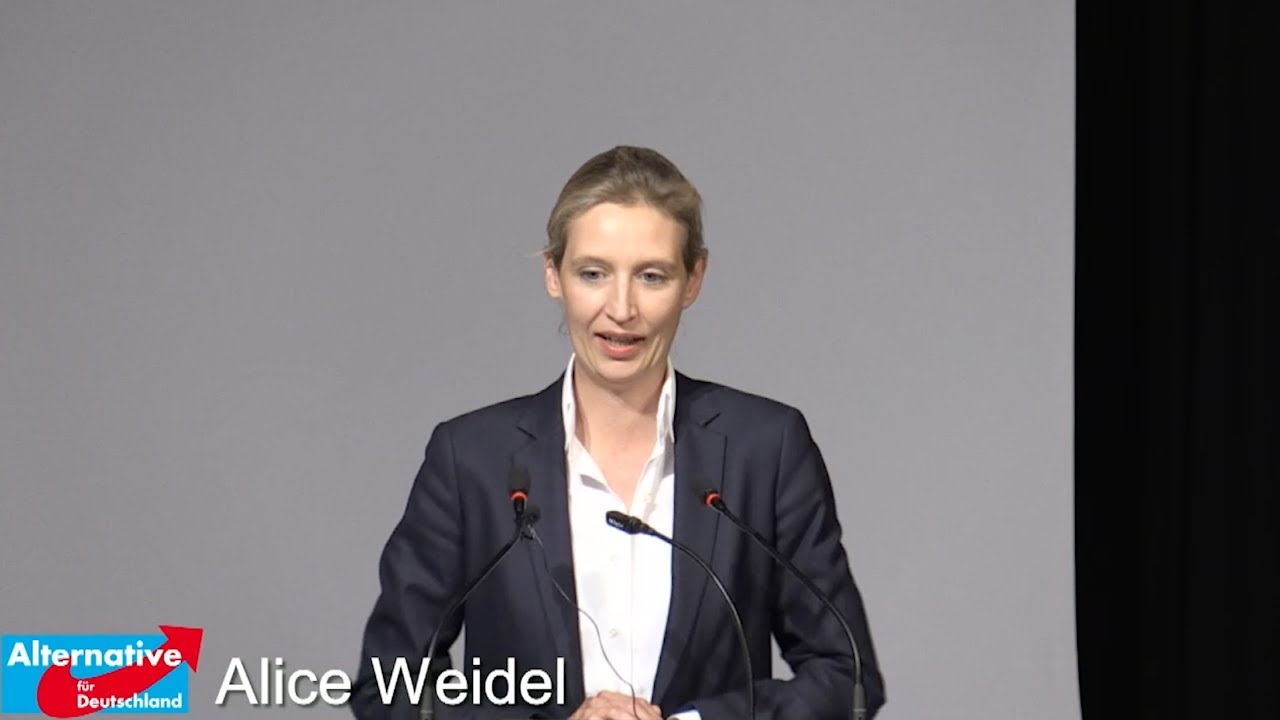 Alice Weidel am 17.06.17 Wahlkampfauftakt in Rheinfelden