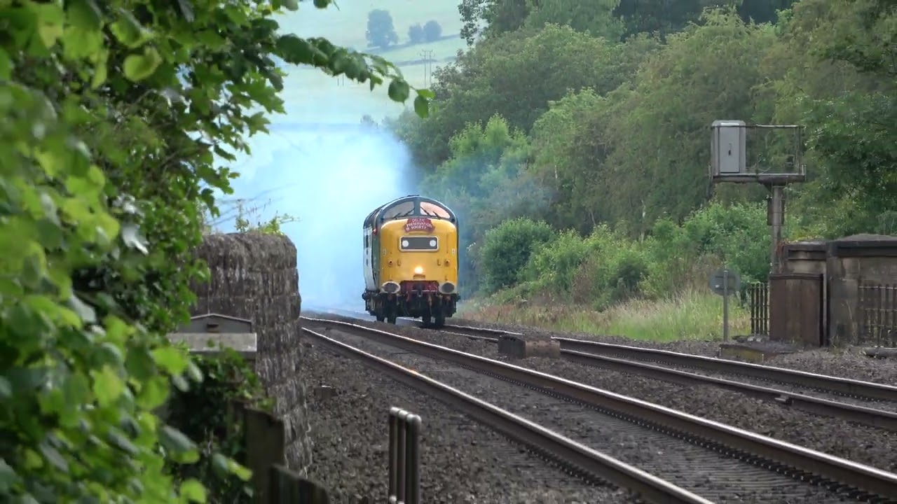 Just a mainline Deltic!!! Class 55 Deltic No. 55009 Alycidon at Sawmills!