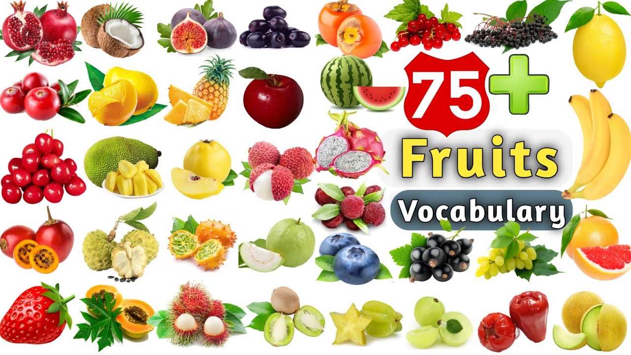 Fruits Vocabulary ll 75+ Fruits Name In English With Picture ll Learn English Vocabulary