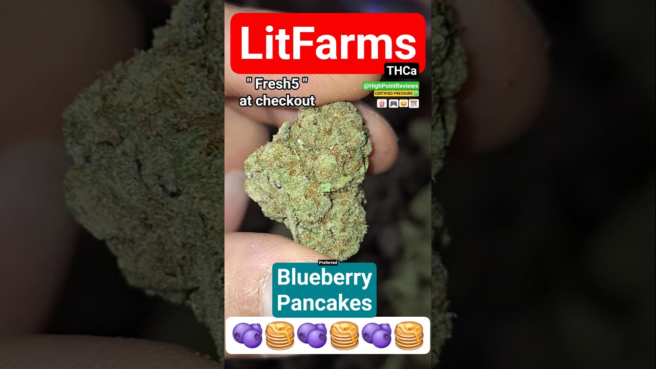 FLAVOR TOWN! LitFarms : Blueberry Pancakes THCa  [Preferred] 🥞 🫐🔥 #Loud #Funk
