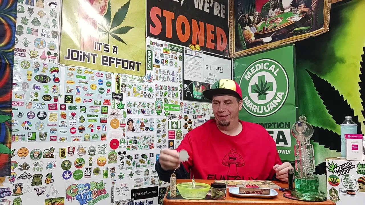 G 13 haze review = 9.3/10 recreational cannabis