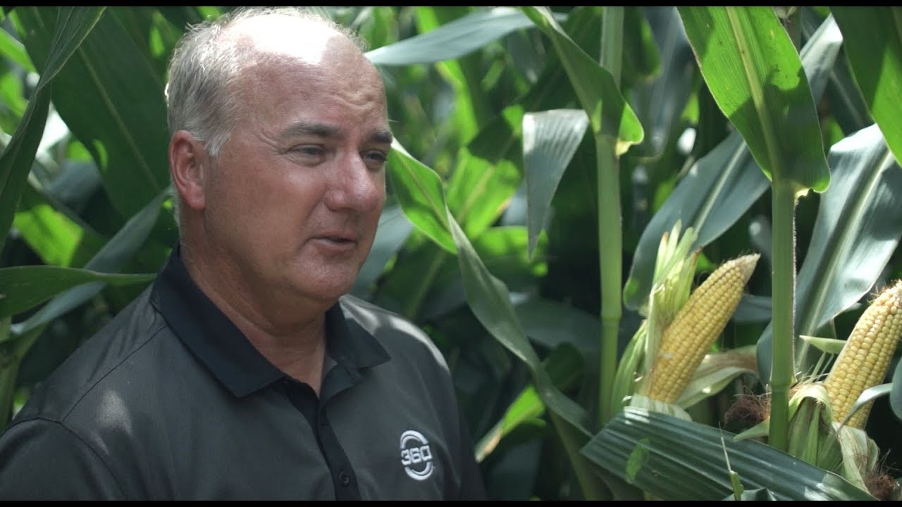 My Experience with Ultra High Population Corn