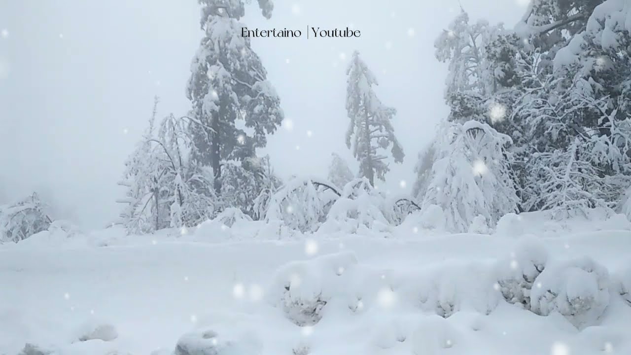 Heavy Snowfall In Murree WhatsApp Status | Romantic Snowfall Status |Weather Song WhatsApp Status 😍