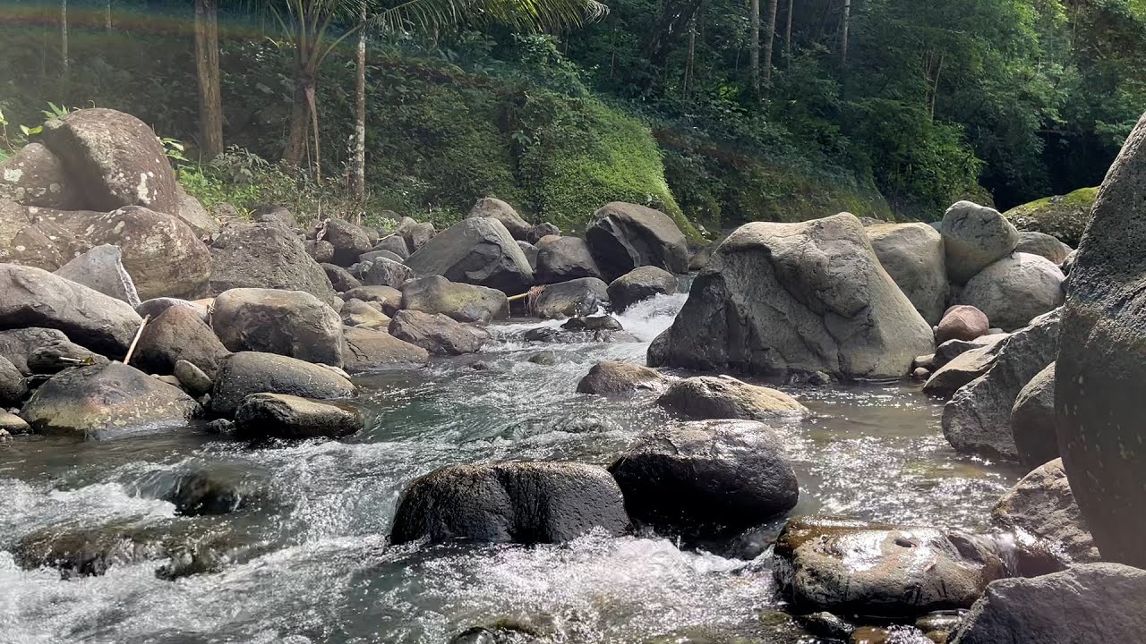 Cinematic Stream Flow 🌊 Natural Water Ambience for Relaxation & Stress Relief