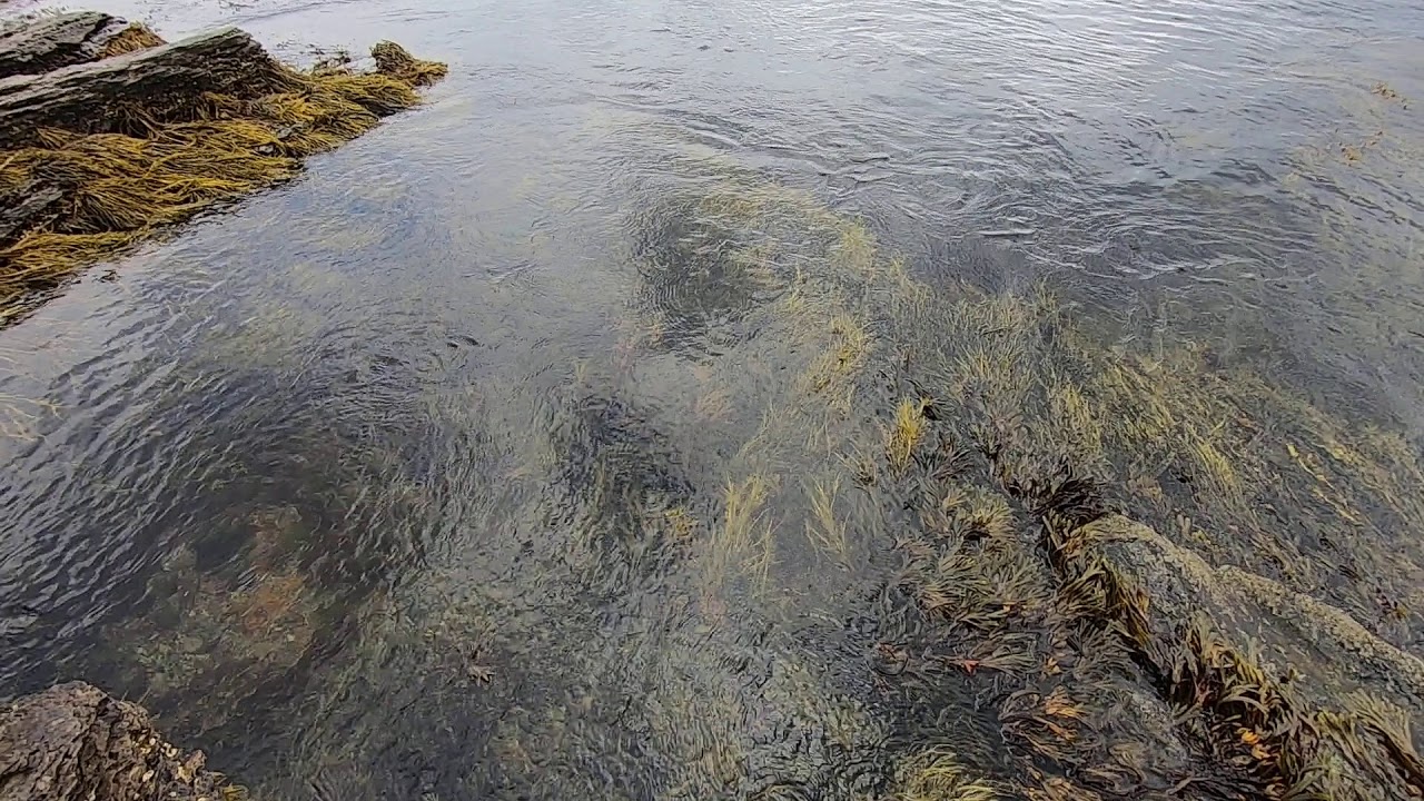 Gentle Swirling Water - Kings Beach - Newport, RI - GoPro Hero 7 Black