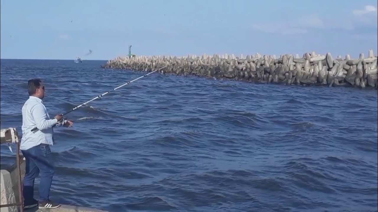 صيد ميرا ومياس وقاروص🦈بالجمبرى الحى و بالسردين🦐| ميناء المعدية | أجمل أماكن الصيد