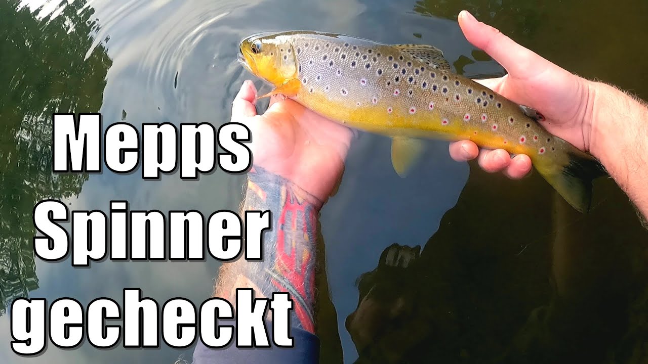 Mepps Spinner gecheckt | Ultralight auf wilde Forellen