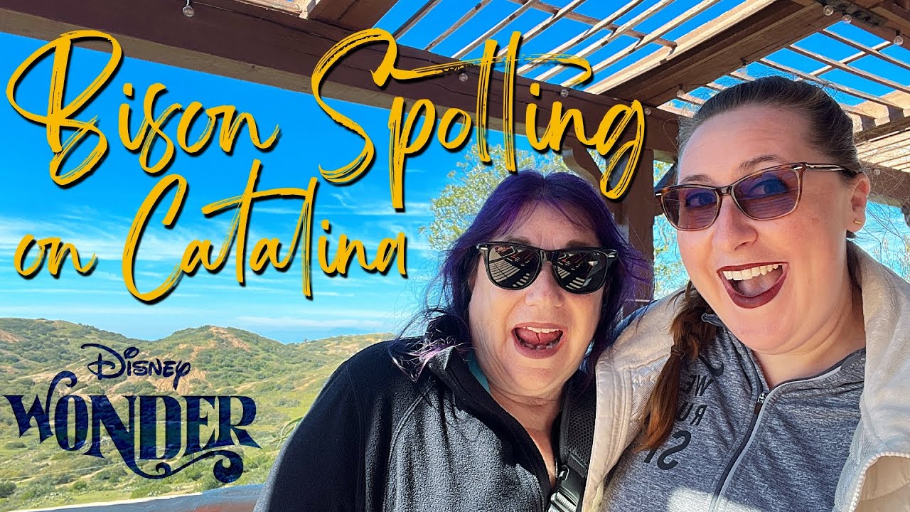 We saw the elusive Catalina Bison! | 2023 Disney Wonder Cruise Vlog