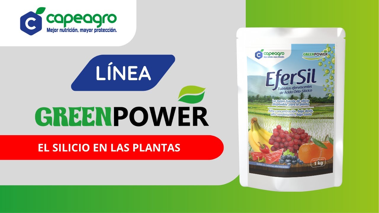 EL SILICIO EN LAS PLANTAS