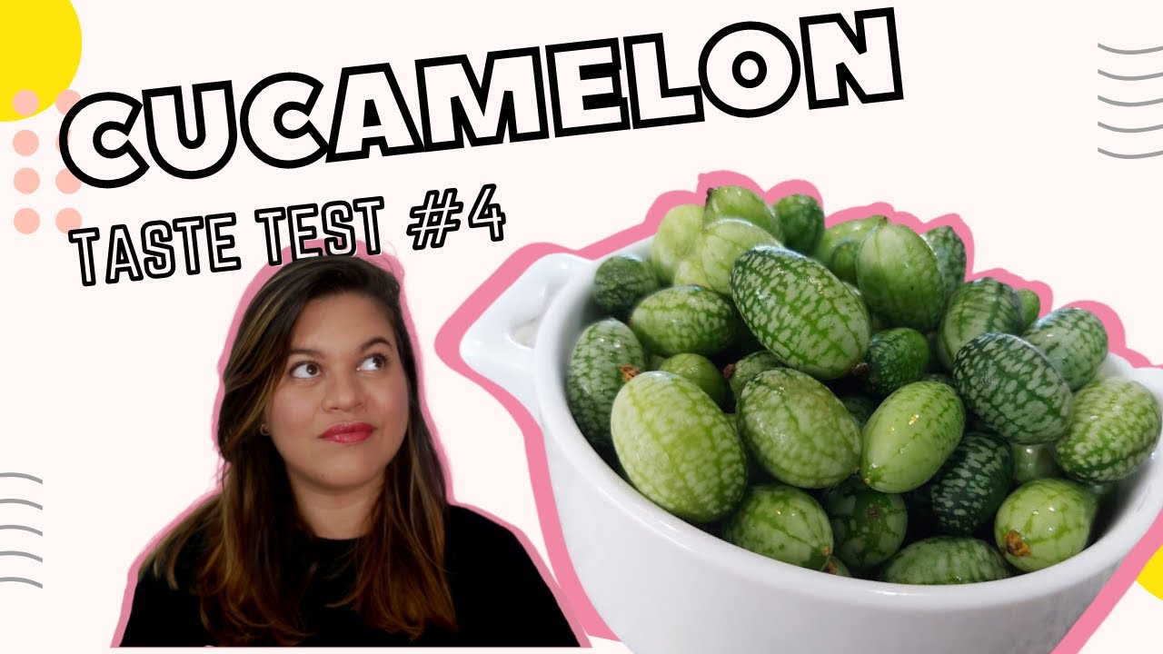 &iquest;MINI SAND&Iacute;AS? - Cucamelon Taste Test #4