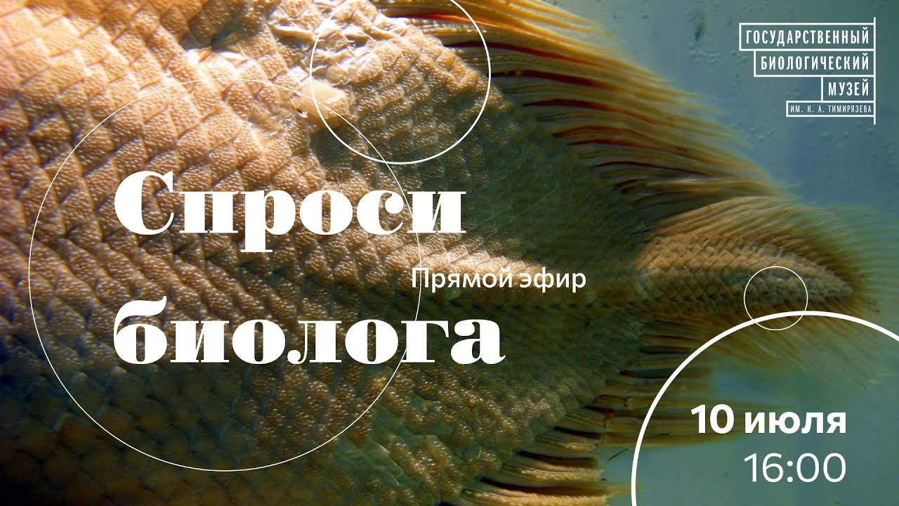 Спроси биолога. Живые ископаемые