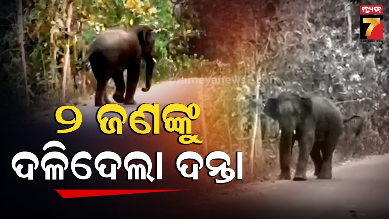 ହାତୀ ଆକ୍ରମଣ, ଚାଲିଗଲା ୨ ଜୀବନ | Elephant Attack in Digapahandi | PrameyaNews7