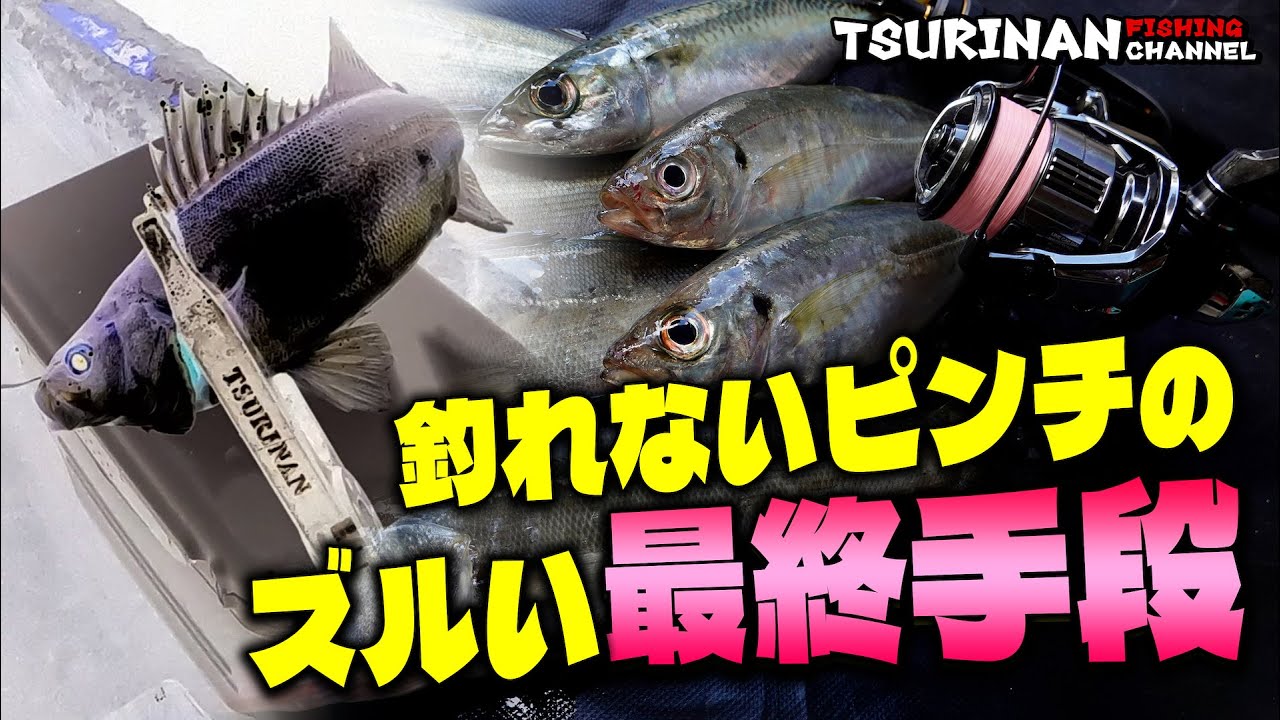 【欲望に負けた夜】ワームで釣れない魚にはズルい最終手段！秋のライトゲーム編
