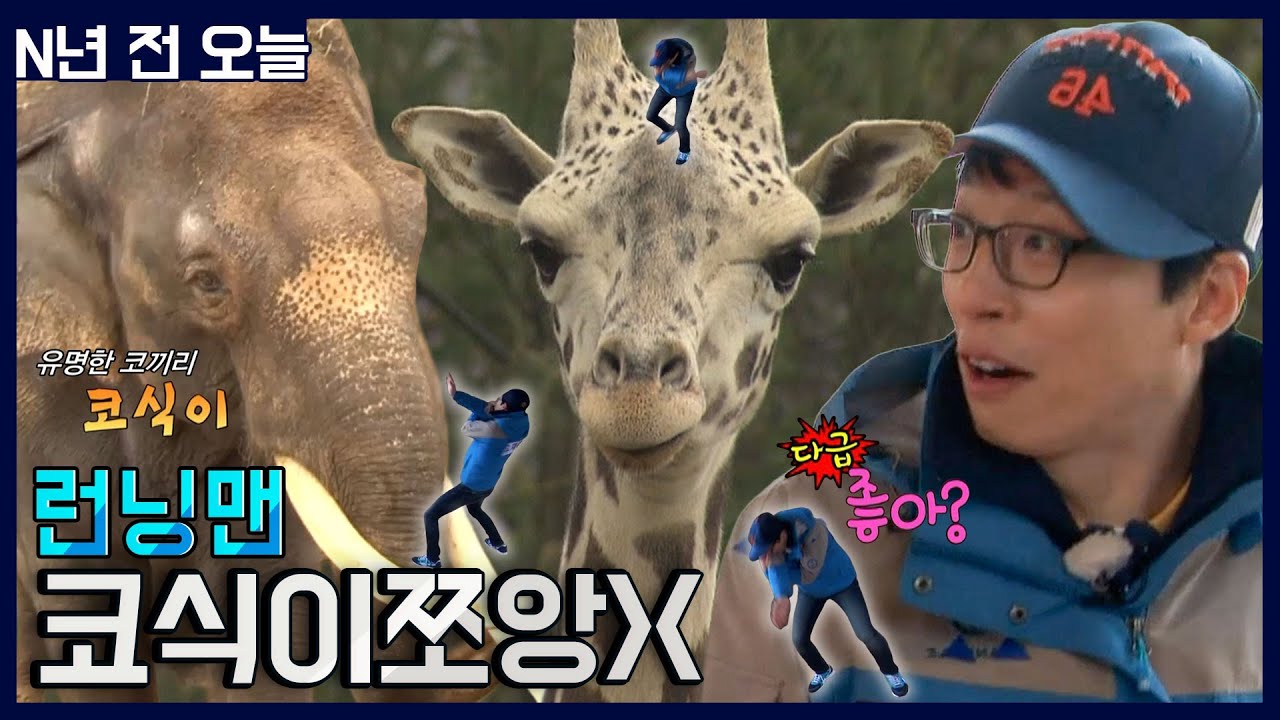 재식이와코석이