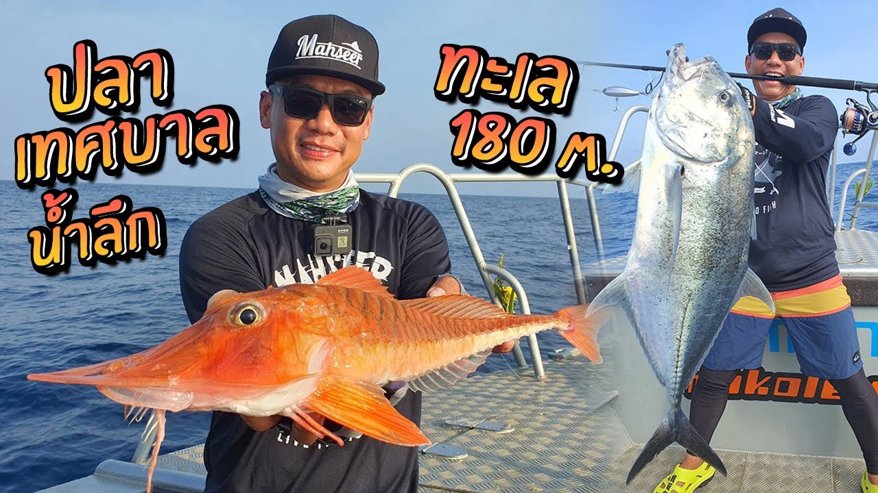 GT โหด! ตกปลาเทศบาลน้ำลึก 180m. สิมิลัน ทับละมุ! Similan Deep Sea Fishing