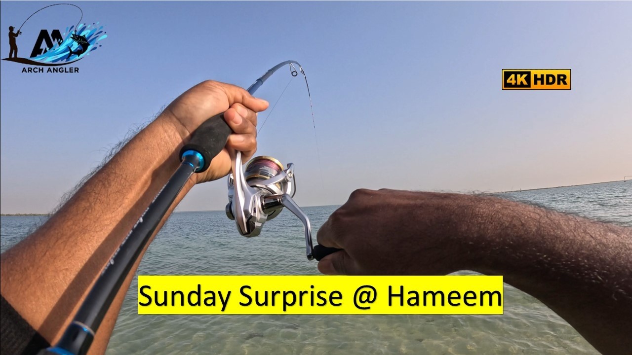 You Can Also  Catch GT on Hammem Beach | Watch This! |Abudhabi Fishing | Arch Angler