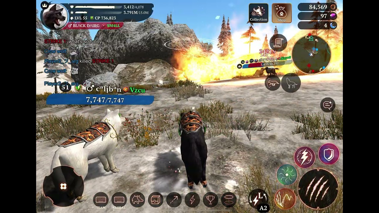 PvP Video