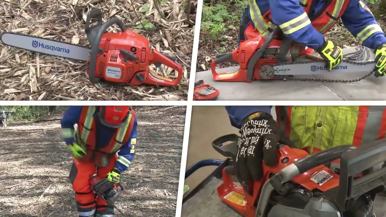 Chainsaw Safety Training