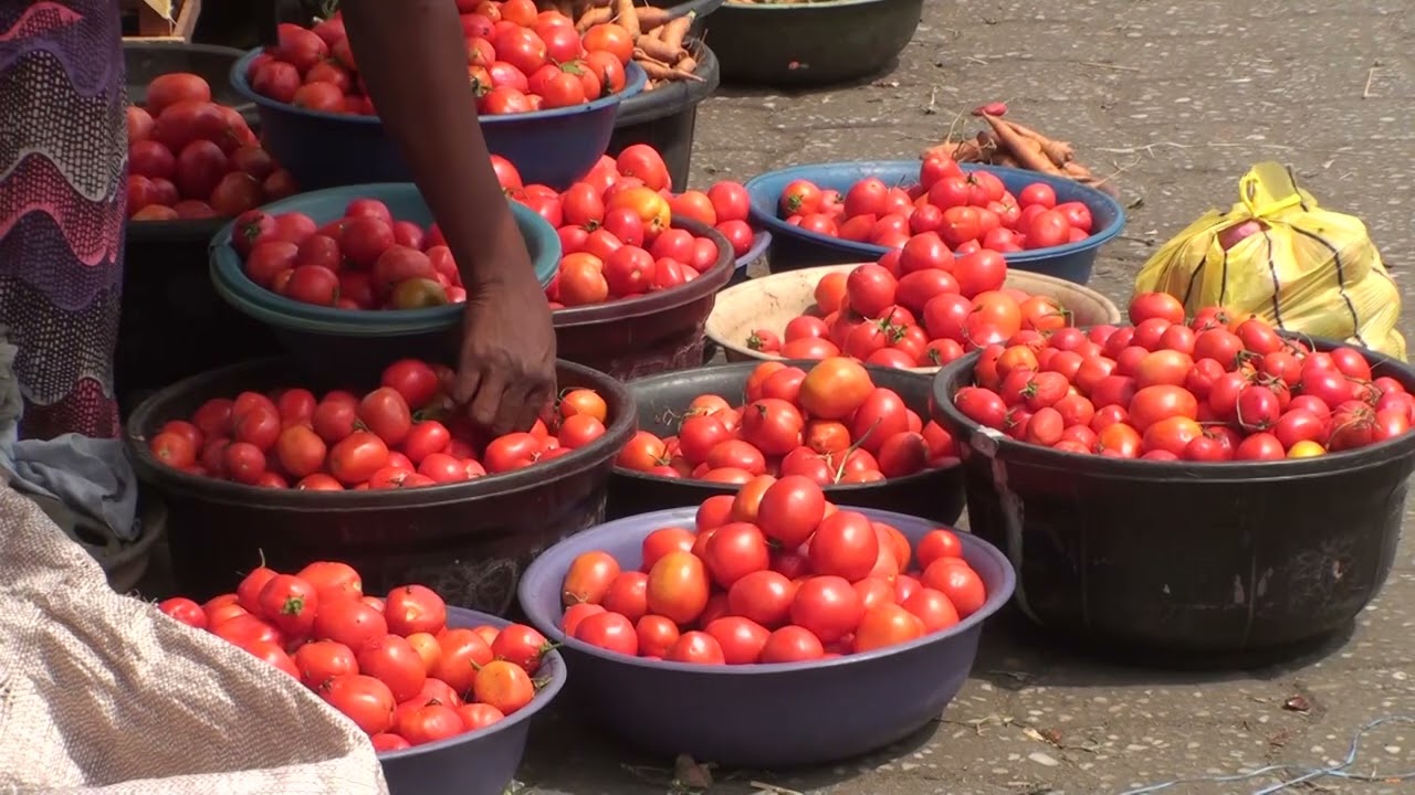 Le secteur de la tomate et ses difficultés