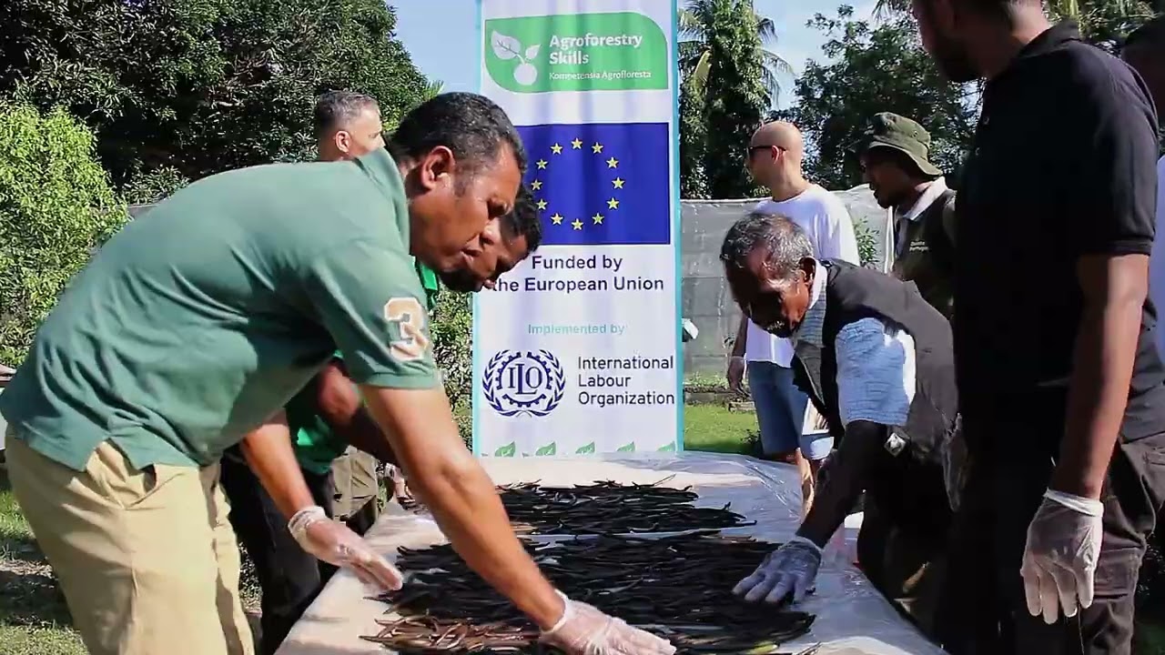 Prátika Agríkola Di'ak sira iha Kura Baunilha