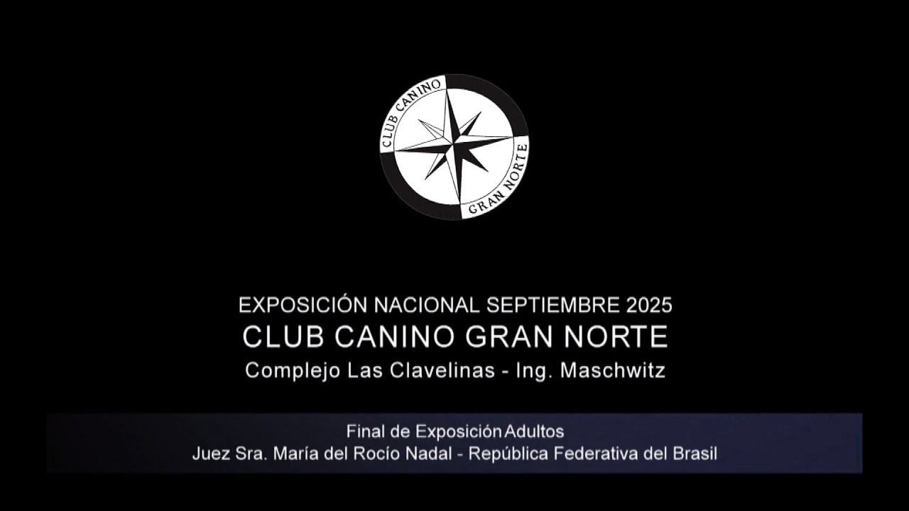 “Perros en acción” Club Canino Gran Norte