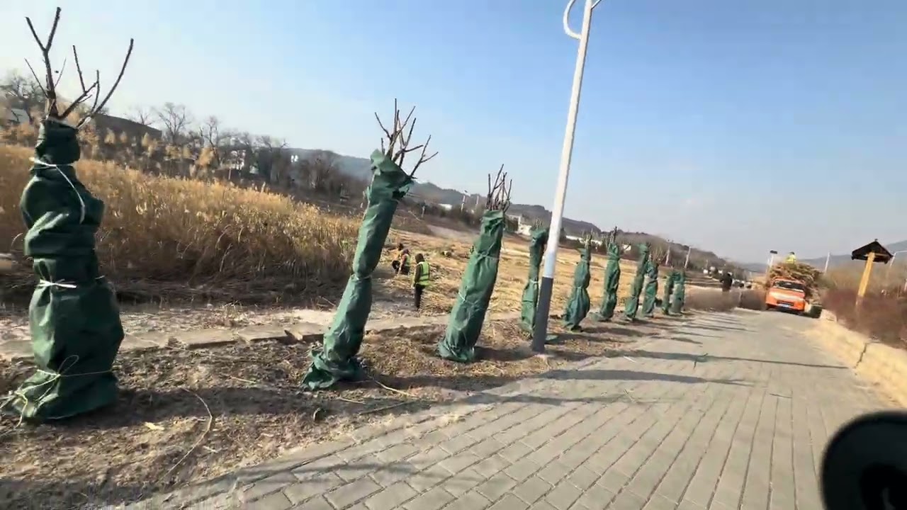 Поездка по гравийной дороге из Пекина к гробницам династии Мин на складном городском велосипеде.