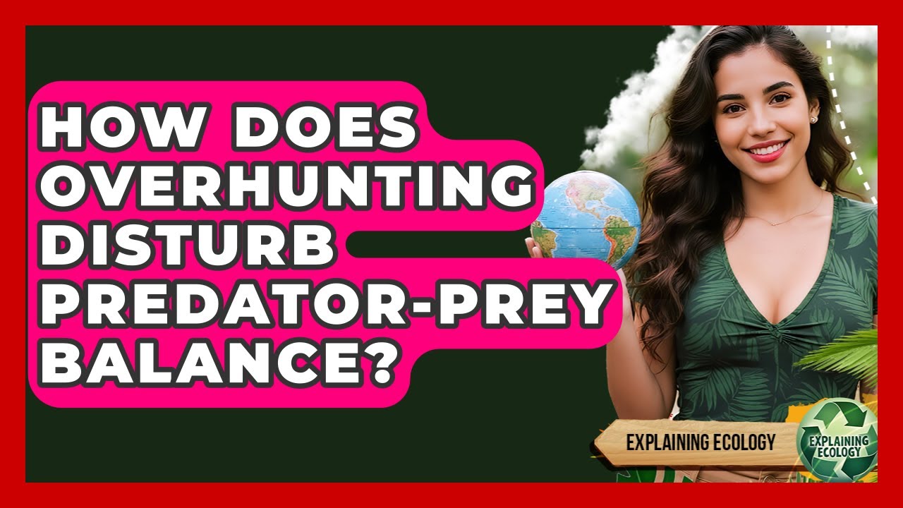 How Does Overhunting Disturb Predator-prey Balance? - Explaining Ecology