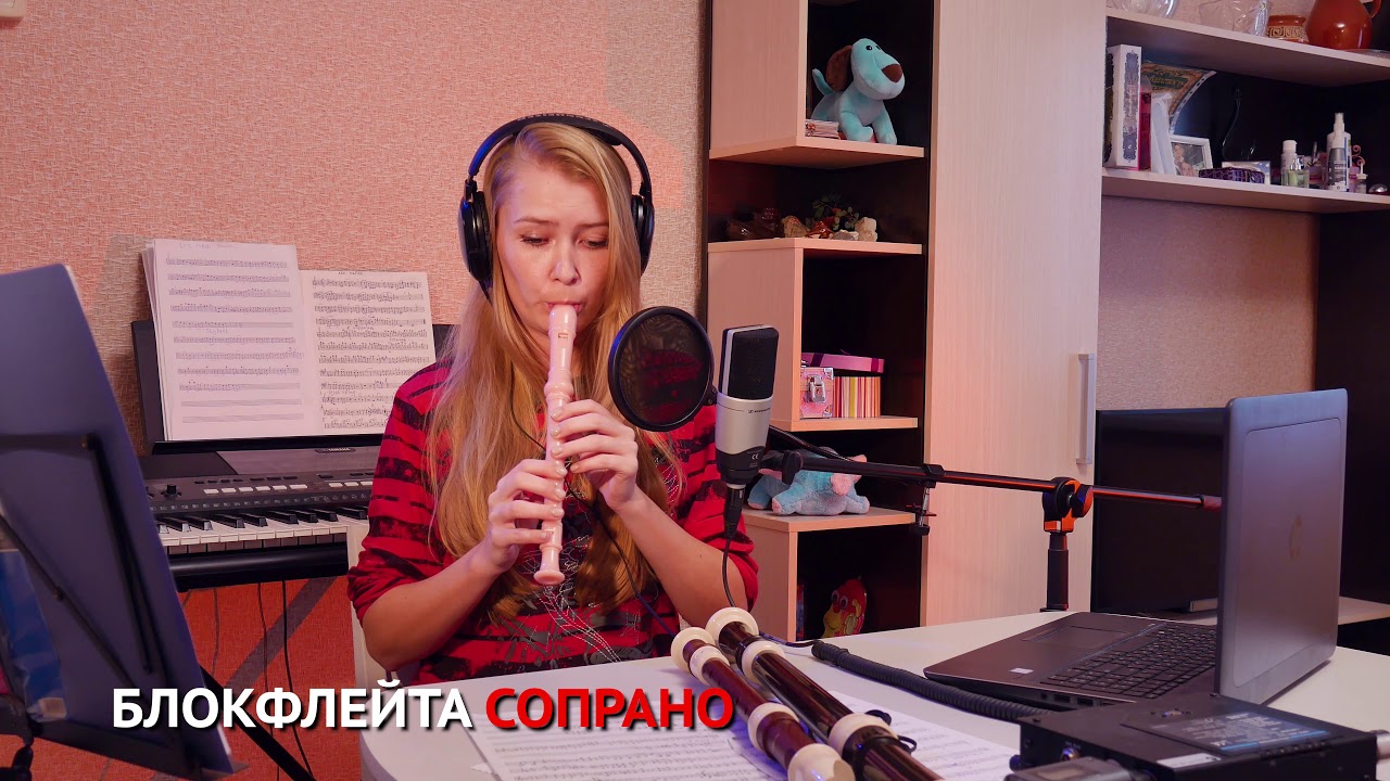 Разные виды блокфлейт. Сопрано, альт и тенор на примере 