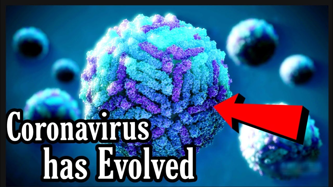 Coronavirus has Evolved | Coronavirus Mutation |