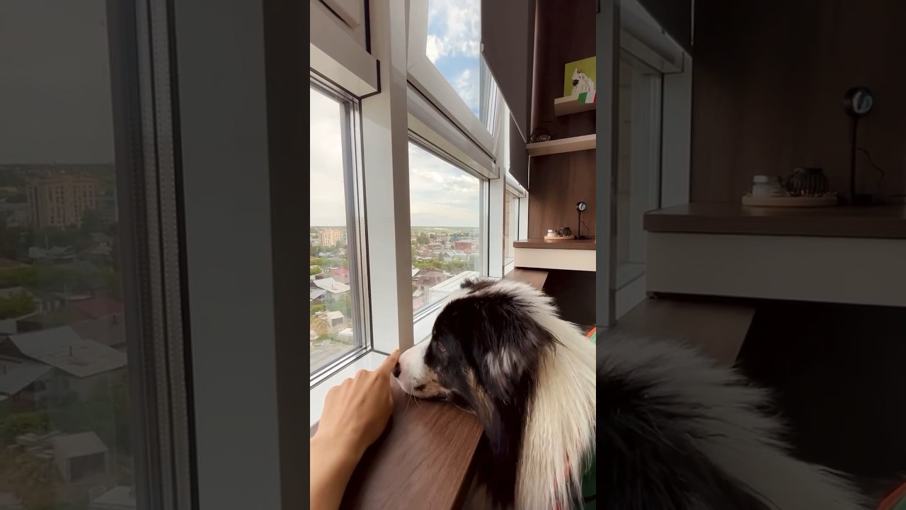 Как отмыть окно за 2 минуты? #отмыть #гринвей #чистоеокно