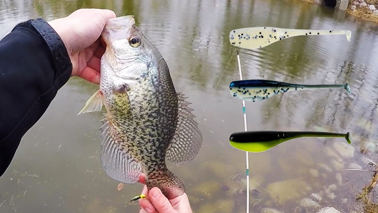 Simple Tips For Crappie Bank Fishing Success -Iowa Crappie Fishing