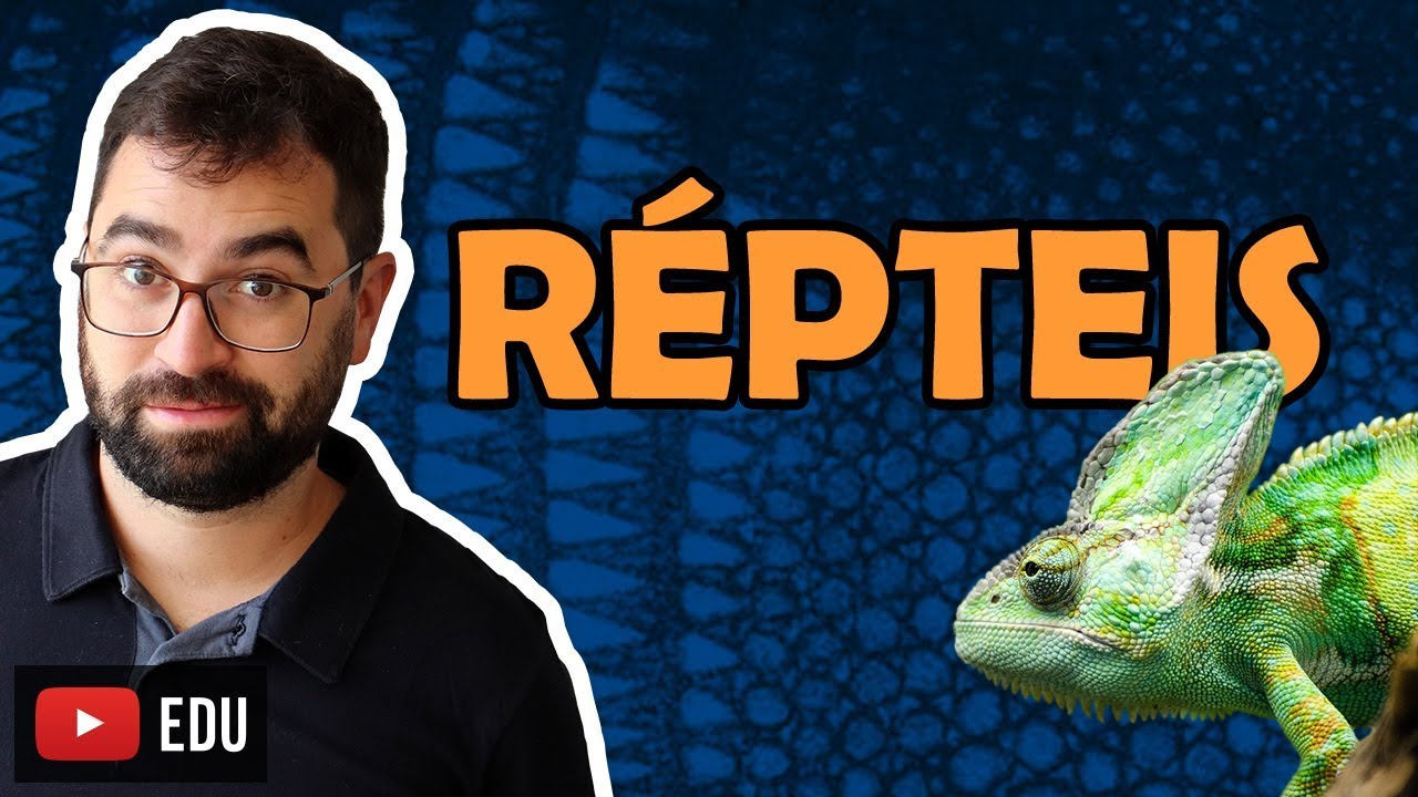 R&eacute;pteis - Aula 30 - M&oacute;dulo VI: Zoologia | Prof. Gui