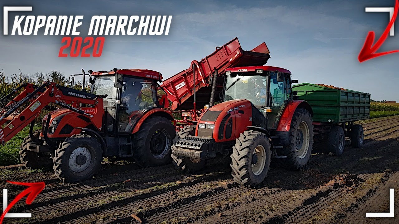 ⭐Kopanie marchwi 2020⭐ Grimme lk650 🔥15t w 4 godziny🔥