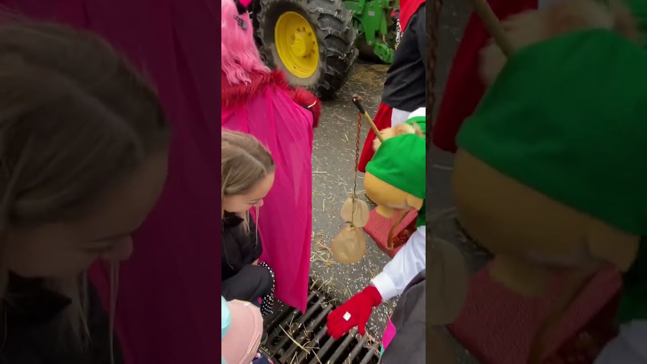 Fasnet 2023, Narrenzunft Aichhalden 2023, Saublitz Hall, 2023 Sulgen-Schramberg