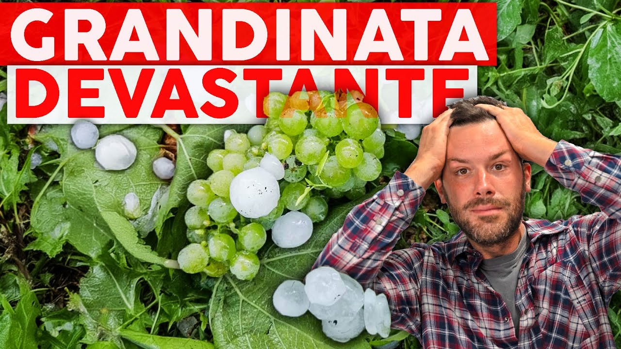 Come BUTTARE 5000€ in 10 MINUTI