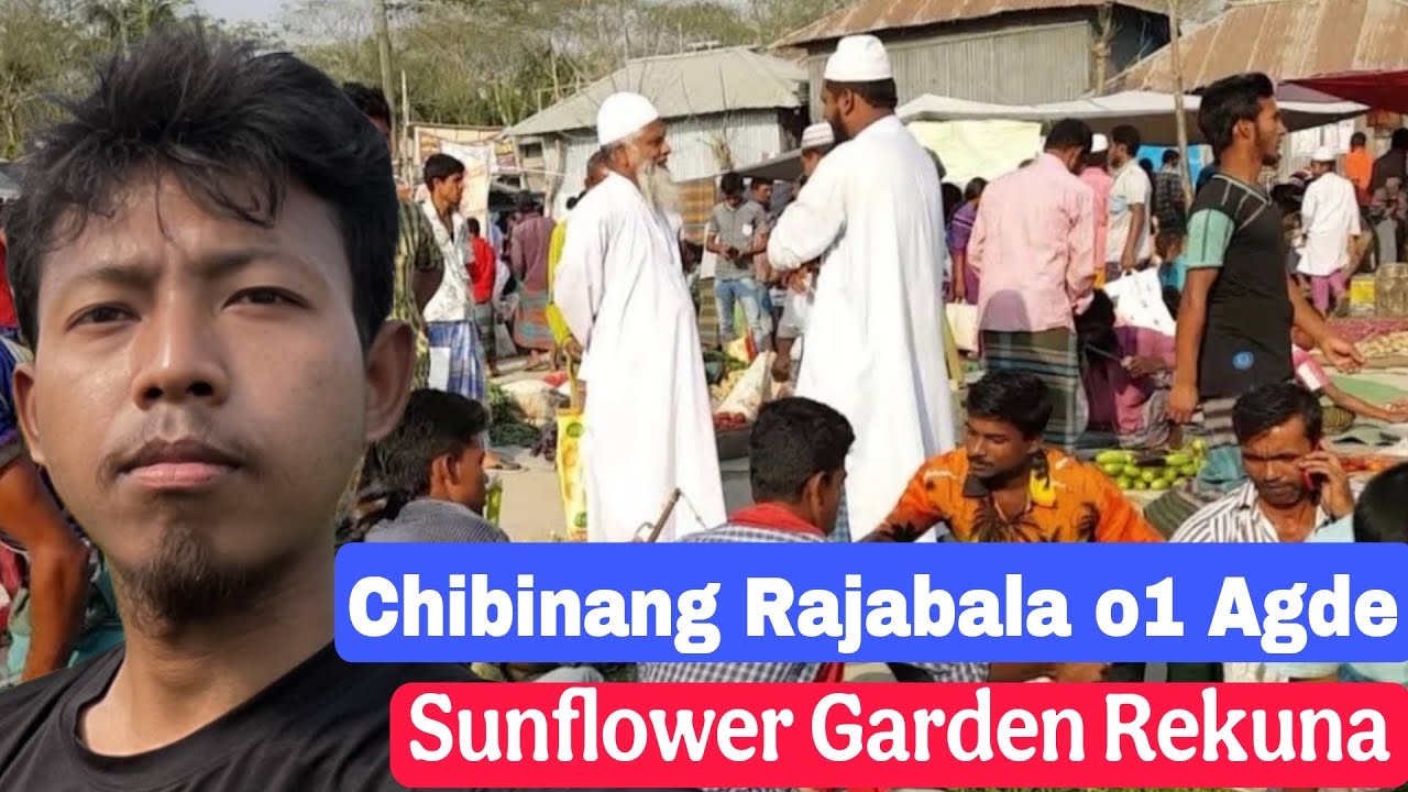 Chibinang Garo hills Sokbajok, Sunflower Garden Asinagre, Tura Bazar Shillong 