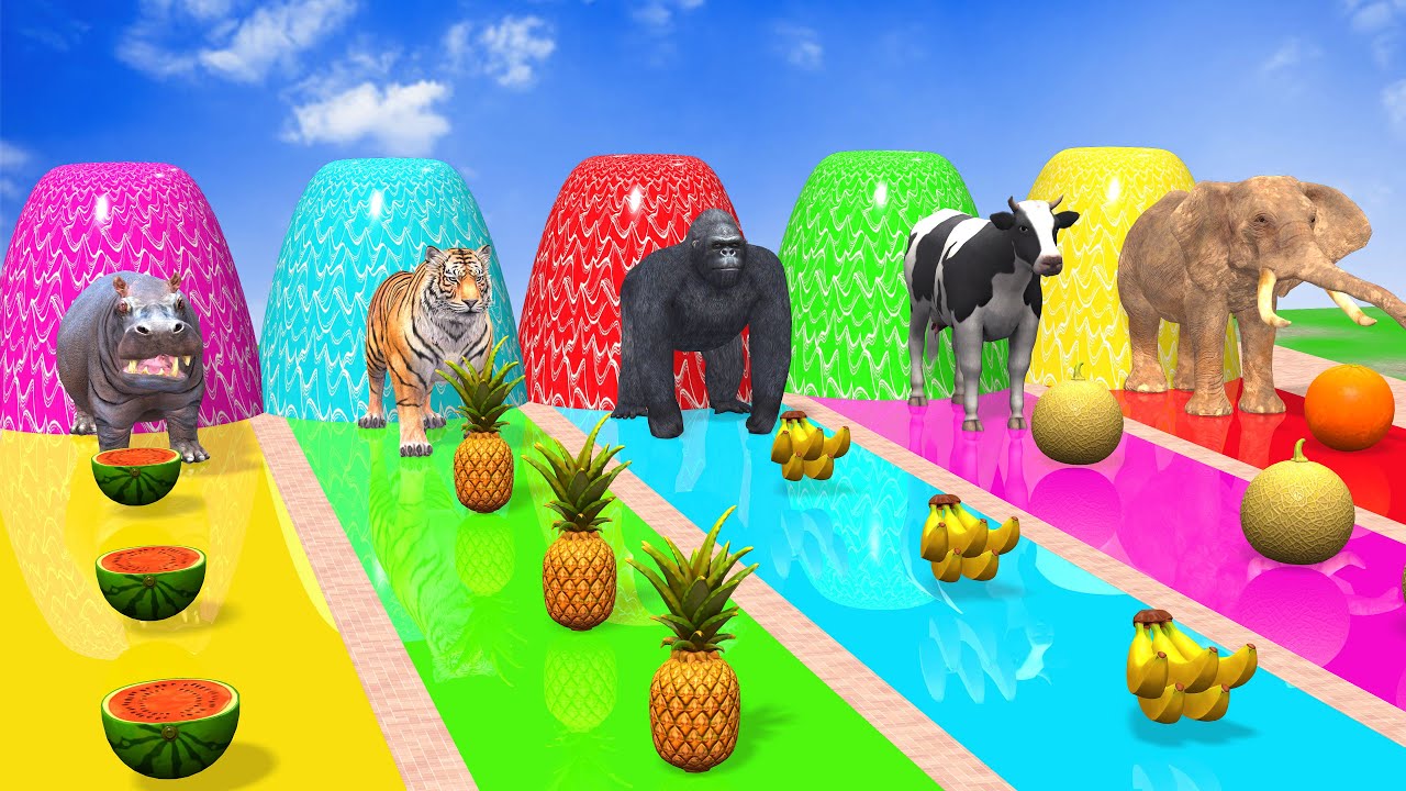 Long Slide Game with Cow Elephant Gorilla Hippopotamus Tiger 3d Animal Game Funny 3d Animals