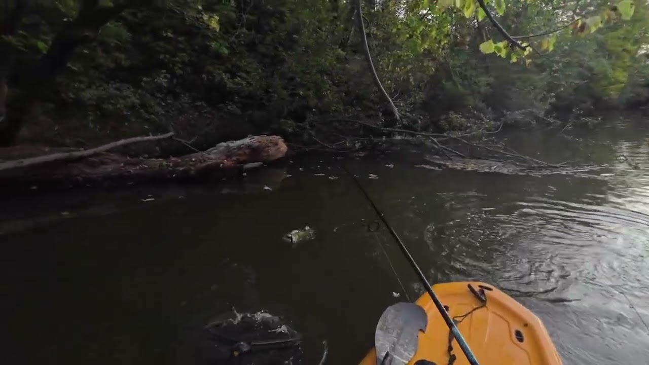 River fishing will be here soon! #bassfishing #riverfishing #kayakfishing 