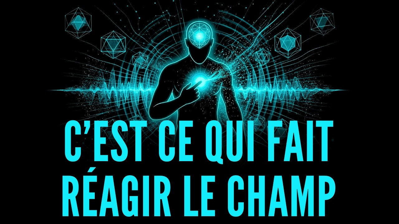La Seule Réaction Qui Fait Réagir Le Champ Quantique