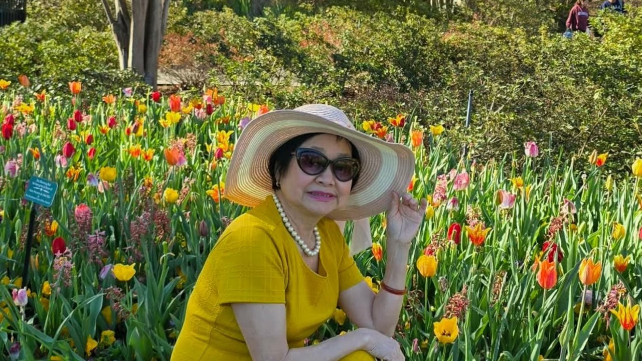 TÌNH THƯƠNG CỦA CHỊ - (AI & HAI)
