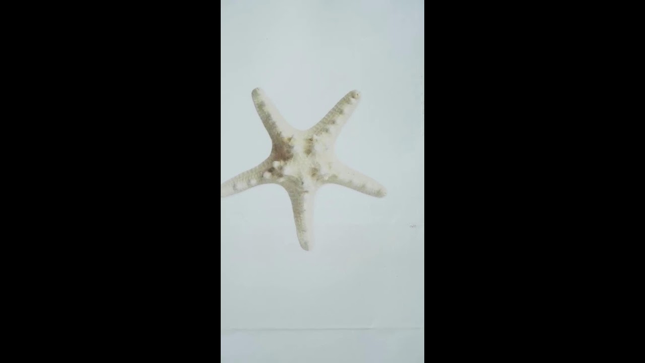 test 3