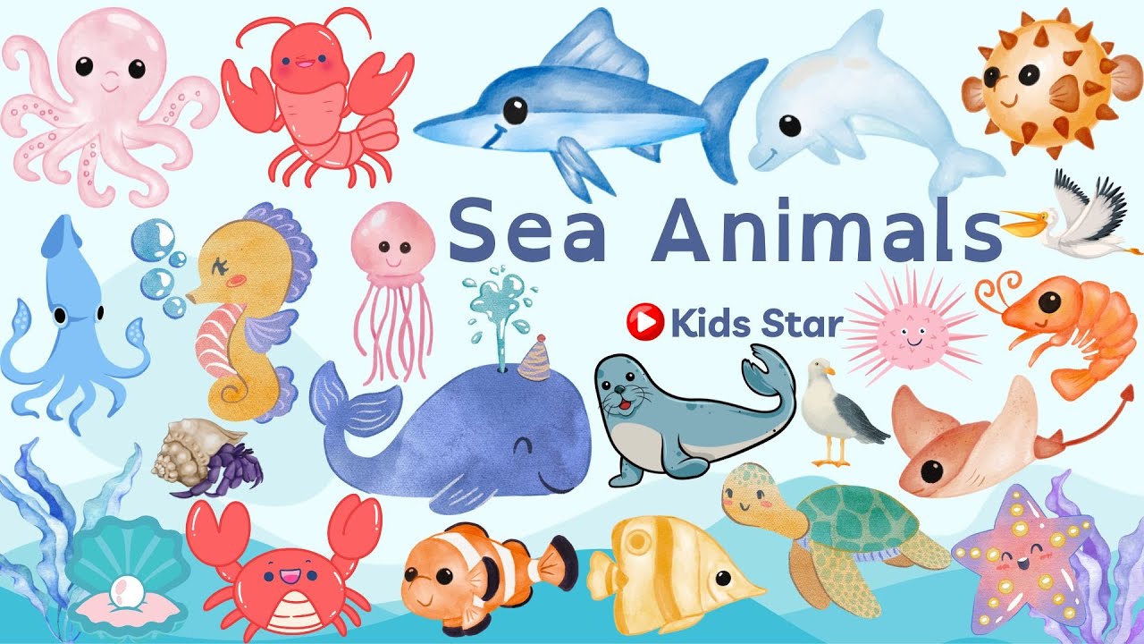 BELAJAR MENGENAL NAMA HEWAN LAUT | LEARNING SEA ANIMALS NAME | OCEAN ANIMALS NAME | BINATANG LAUT