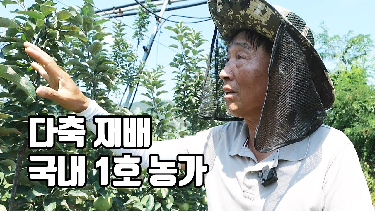 축 갱신 계속하고 기부 힘뺄줄 알아야