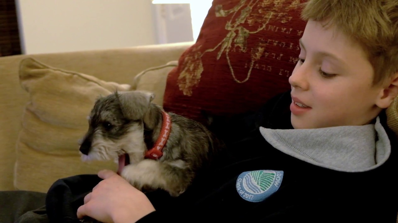 Pippa's first day